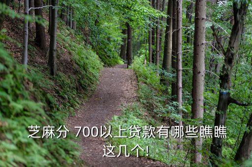  芝麻分 700以上貸款有哪些瞧瞧這幾個!