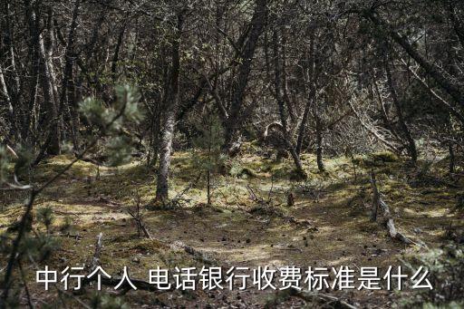 太原開(kāi)發(fā)區(qū)中行電話是多少錢(qián),中行揚(yáng)州開(kāi)發(fā)區(qū)支行電話