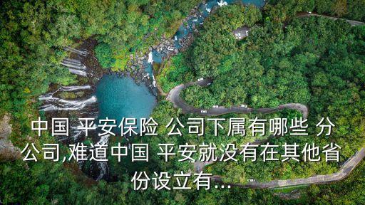 平安公司有多少分公司,平安青島分公司電話是多少