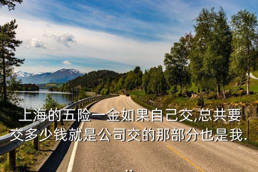 2015年上海個(gè)人四金要扣多少