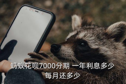 分期一年大概多少錢,3500分期一年多少錢