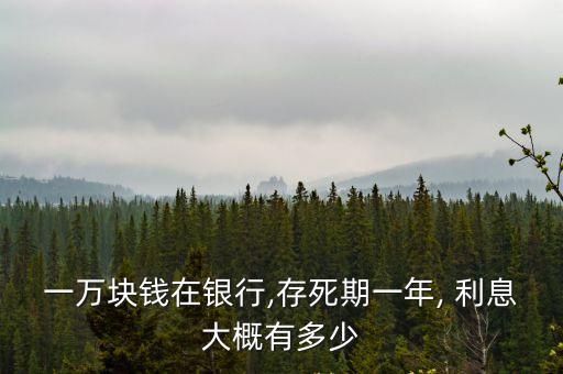 一萬塊錢在銀行,存死期一年, 利息大概有多少