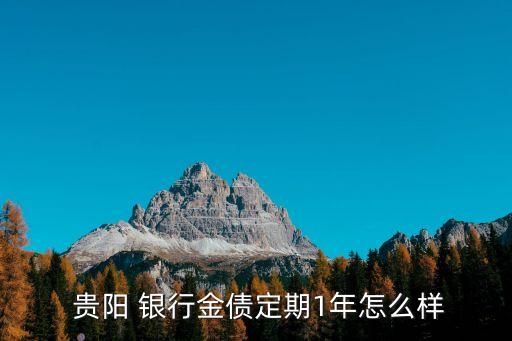 貴陽銀行理財利息是多少,哪個銀行的理財利息最高最安全
