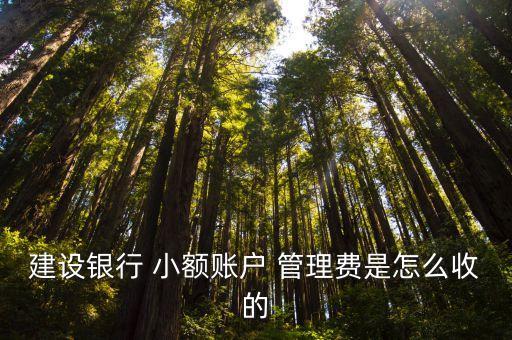 建行低于多少扣小額管理會,建行卡低于多少會扣錢