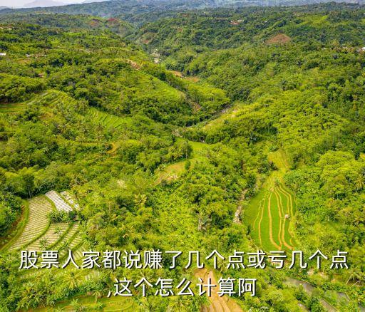  股票人家都說賺了幾個(gè)點(diǎn)或虧幾個(gè)點(diǎn),這個(gè)怎么計(jì)算阿