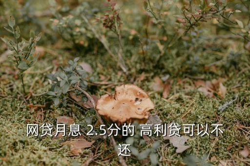 高利貸2.5利息一天多少,10000一天100利息算高利貸么