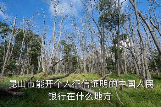  昆山市能開個(gè)人征信證明的中國人民銀行在什么地方