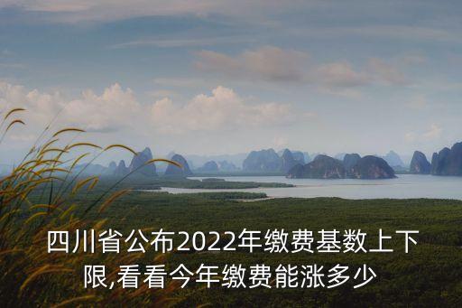  四川省公布2022年繳費基數(shù)上下限,看看今年繳費能漲多少