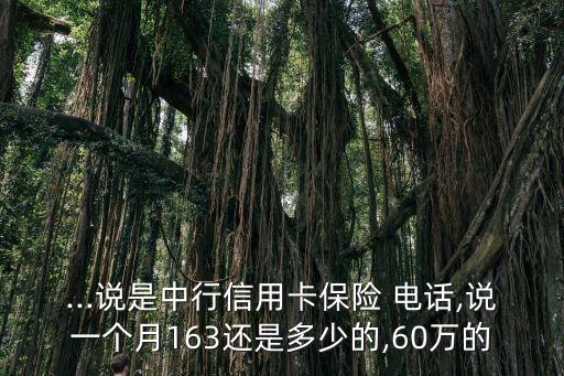 ...說是中行信用卡保險 電話,說一個月163還是多少的,60萬的