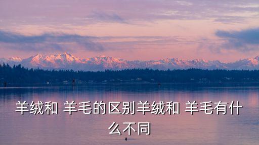 羊絨和 羊毛的區(qū)別羊絨和 羊毛有什么不同