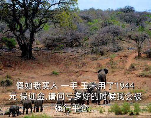 玉米一手保證金多少錢,期貨玉米交易一手 保證金
