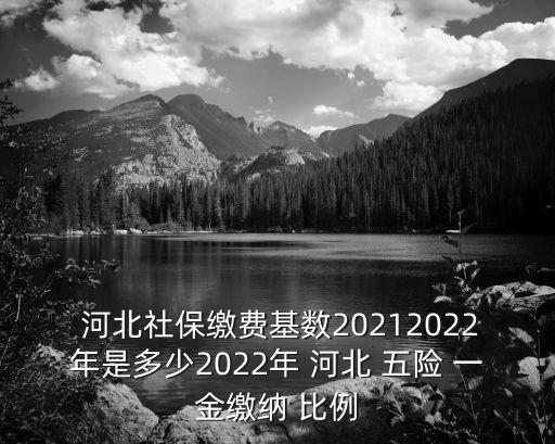  河北社保繳費(fèi)基數(shù)20212022年是多少2022年 河北 五險 一金繳納 比例