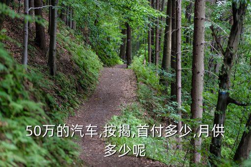 50萬的車貸款多少合適,10萬車貸款違約金多少