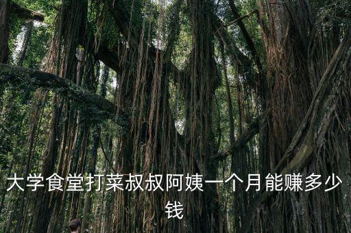 大學食堂打菜叔叔阿姨一個月能賺多少錢