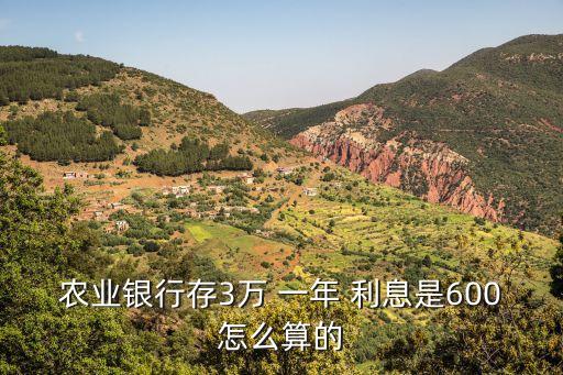 三萬一年的利息是多少,拍拍貸借三萬一年的利息是多少