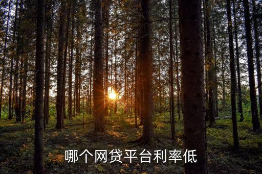 信而富借錢利息是多少錢