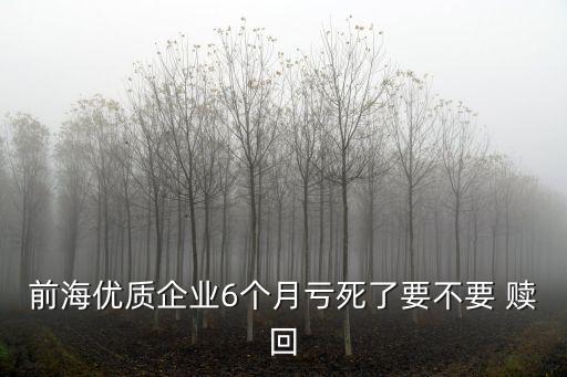 每筆最低贖回份額是多少