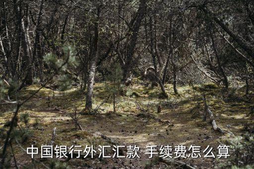 中國(guó)銀行轉(zhuǎn)美金手續(xù)費(fèi)多少