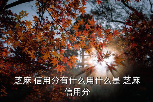 光大 芝麻信用 額度多少,芝麻信用800借唄額度