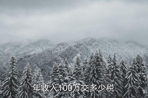 年薪一百萬繳稅多少,繳稅9000元年薪多少