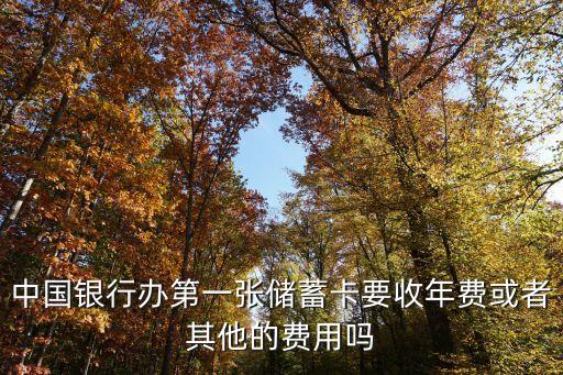 中國銀行卡費是多少錢一個月