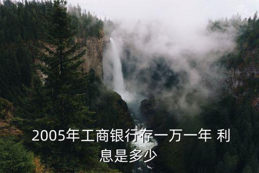 2005年利息多少
