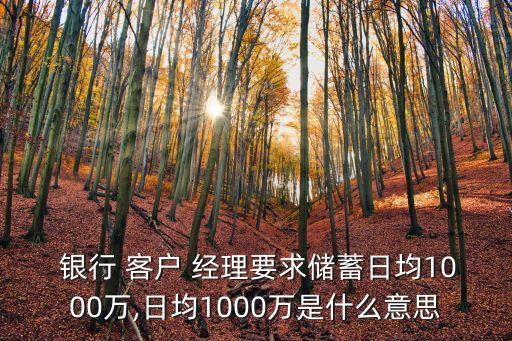  銀行 客戶 經(jīng)理要求儲(chǔ)蓄日均1000萬,日均1000萬是什么意思