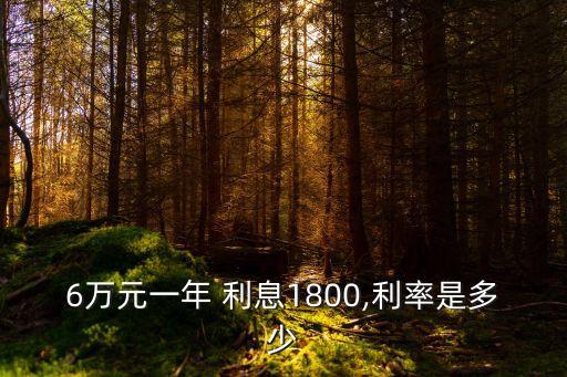 6萬1.1利息是多少,5萬1.1的利息一個(gè)月
