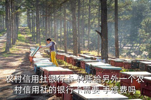 信合網(wǎng)銀跨行轉(zhuǎn)賬手續(xù)費(fèi)是多少