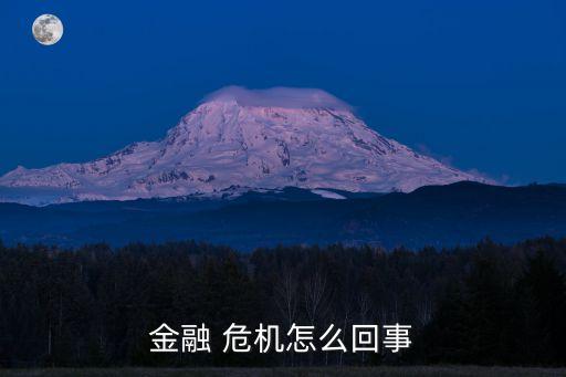 金融 危機(jī)怎么回事