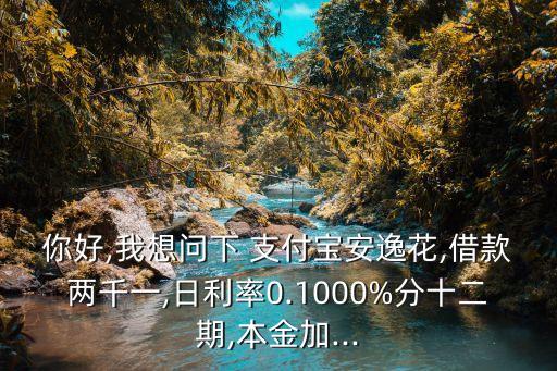 支付寶借2000利息是多少,2000萬支付寶一天多少利息