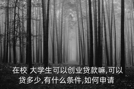  在校 大學(xué)生可以創(chuàng)業(yè)貸款嘛,可以貸多少,有什么條件,如何申請(qǐng)