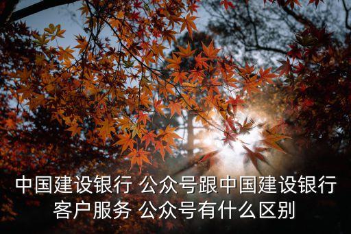 中國(guó)建設(shè)銀行 公眾號(hào)跟中國(guó)建設(shè)銀行客戶(hù)服務(wù) 公眾號(hào)有什么區(qū)別