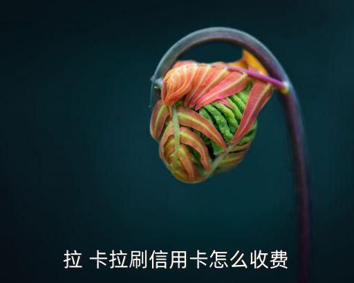 拉卡拉刷一萬(wàn)塊手續(xù)費(fèi)多少錢