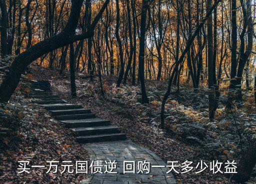 買(mǎi)一萬(wàn)元國(guó)債逆 回購(gòu)一天多少收益