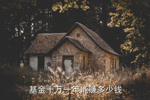  基金十萬(wàn)一年能賺多少錢