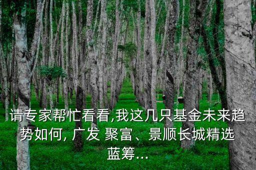 請專家?guī)兔纯?我這幾只基金未來趨勢如何, 廣發(fā) 聚富、景順長城精選藍籌...
