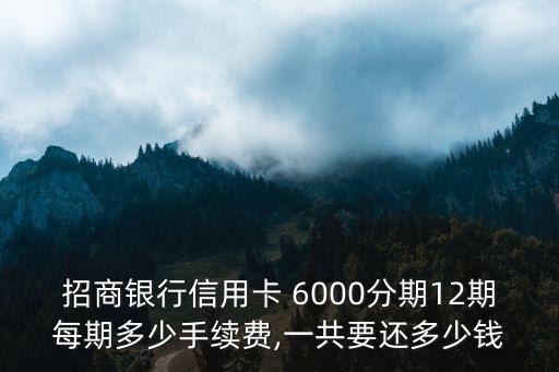 6000塊分期利息多少,信用卡分期6000一年利息多少