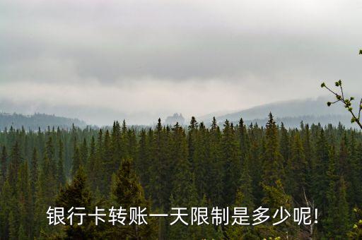  銀行卡轉(zhuǎn)賬一天限制是多少呢!