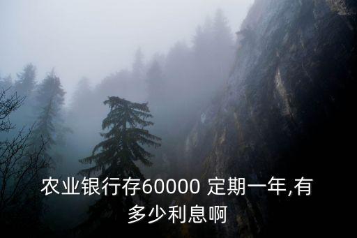 農(nóng)業(yè)銀行存60000 定期一年,有多少利息啊
