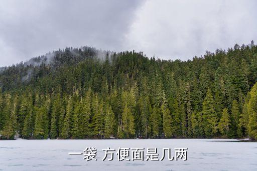 日本一貸方便面多少克,在日本一包方便面多少錢