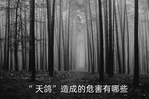 “ 天鴿”造成的危害有哪些