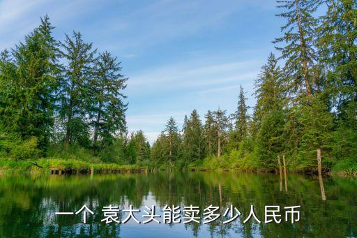 袁大頭銀元現(xiàn)在價值多少,民國三年的袁大頭銀元現(xiàn)在一枚價值多少錢