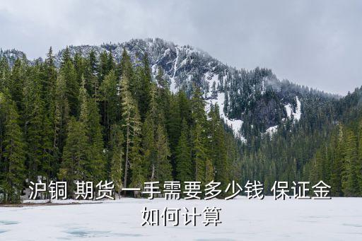 期貨一手保證金是多少,螺紋鋼期貨一手保證金多少錢(qián)