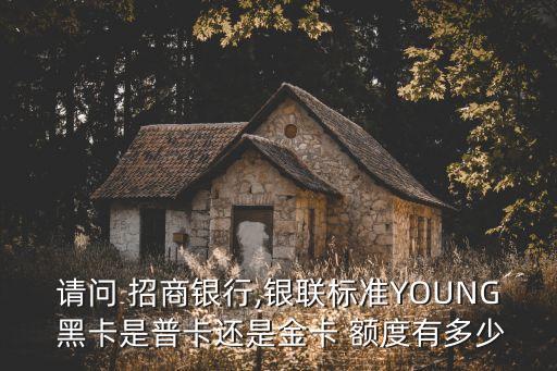 請(qǐng)問 招商銀行,銀聯(lián)標(biāo)準(zhǔn)YOUNG 黑卡是普卡還是金卡 額度有多少