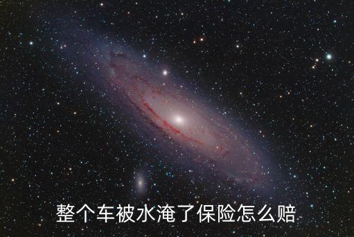 涉水險賠多少錢,發(fā)動機涉水險多少錢