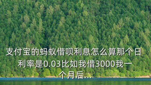 支付寶的螞蟻借唄利息怎么算那個(gè)日 利率是0.03比如我借3000我一個(gè)月后...