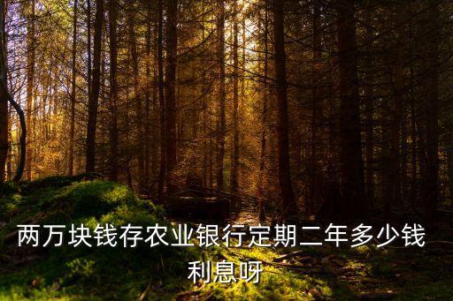 2年前農(nóng)行利息是多少,2023年農(nóng)行3年利息