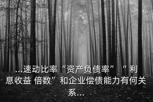 ...速動(dòng)比率“資產(chǎn)負(fù)債率”“ 利息收益 倍數(shù)”和企業(yè)償債能力有何關(guān)系...