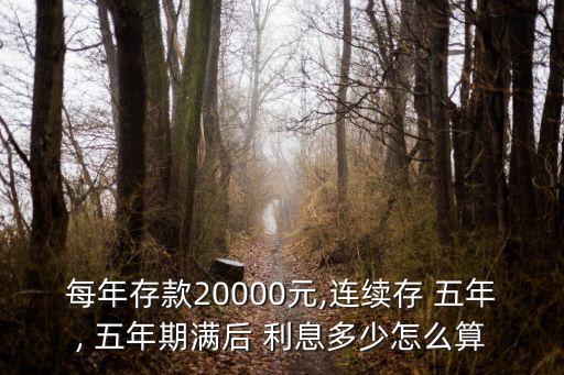 每年存款20000元,連續(xù)存 五年, 五年期滿后 利息多少怎么算